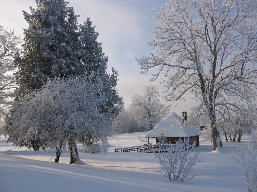 Jaunbrenguli Villa Raiskums Rom bilde